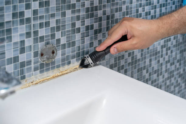 Best Attic Mold Removal  in Berryville, TX